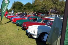 53098680_2815403835138292_2788373651387318272_o-1920w