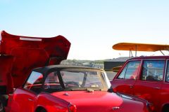 61306135_10157341962983035_1852398559878447104_o-1920w