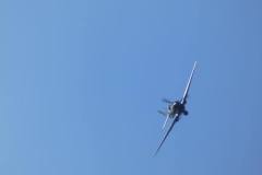 61561890_10217102999358858_5209259288064688128_n-1920w