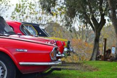 60426883_10157304026613035_4469903641838354432_o-1920w