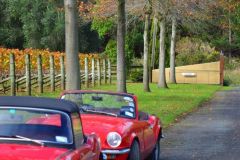 60985334_10157304026148035_2920015343902523392_o-1920w