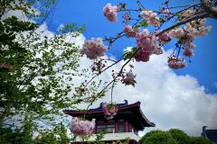 314354841_10160680459471882_7902299891591309597_n