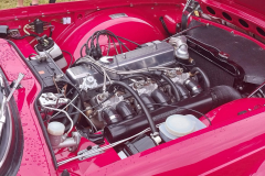 430613054_3844317889184443_743985347398221437_n