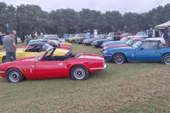 430661423_3844317085851190_7691868676479254456_n