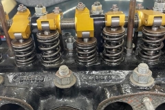 garys-transplant-rockers