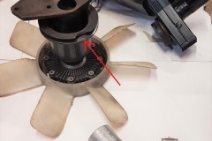 323979616_1230220407848092_4640075735104205035_n