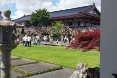 401085779_3763556140593952_569005527371589242_n